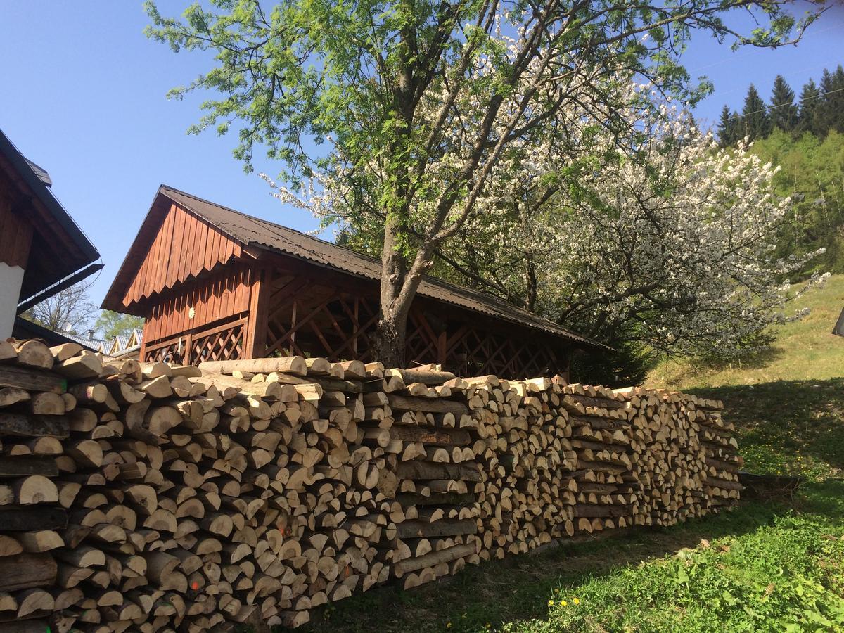 Penzion Eliska Petrikov  Buitenkant foto